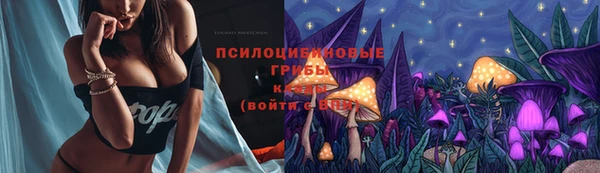 Альфа ПВП Алексеевка