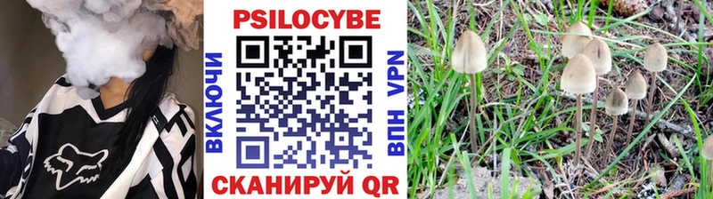 OMG онион Печоры Галлюциногенные грибы ЛСД